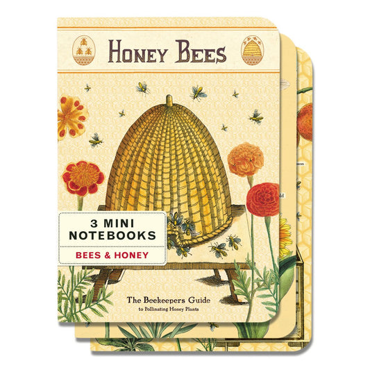 Cavallini & Co. Mini Notebooks (Set of 3)