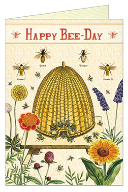 Cavallini & Co. Birthday Greeting Cards