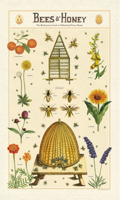 Cavallini & Co. Vintage Tea Towels