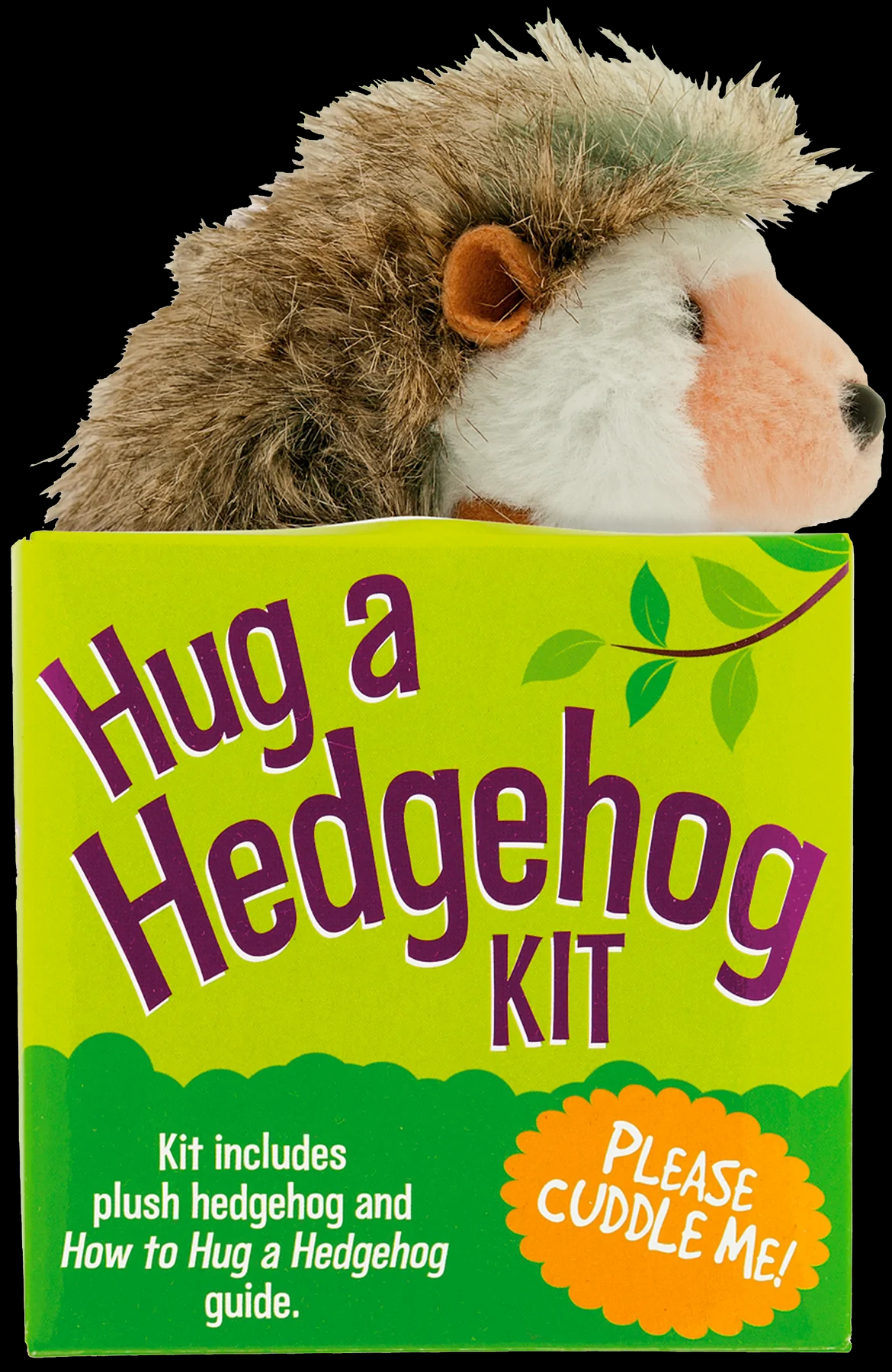 Mini Stuffed Animal Adoption Box