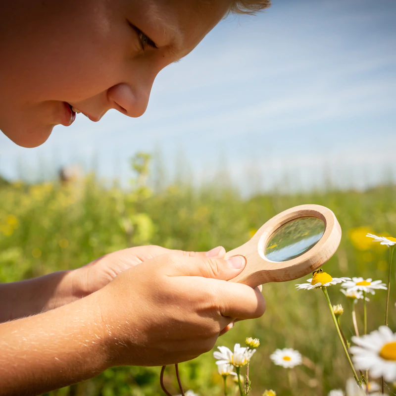 Huckleberry Kids Dual Magnifier