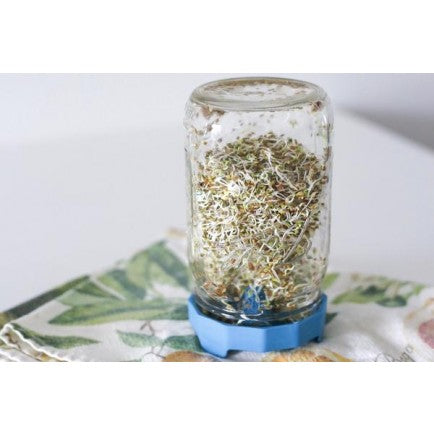 Masontops Bean Screen Sprouting Lid