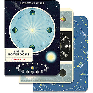 Cavallini & Co. Mini Notebooks (Set of 3)