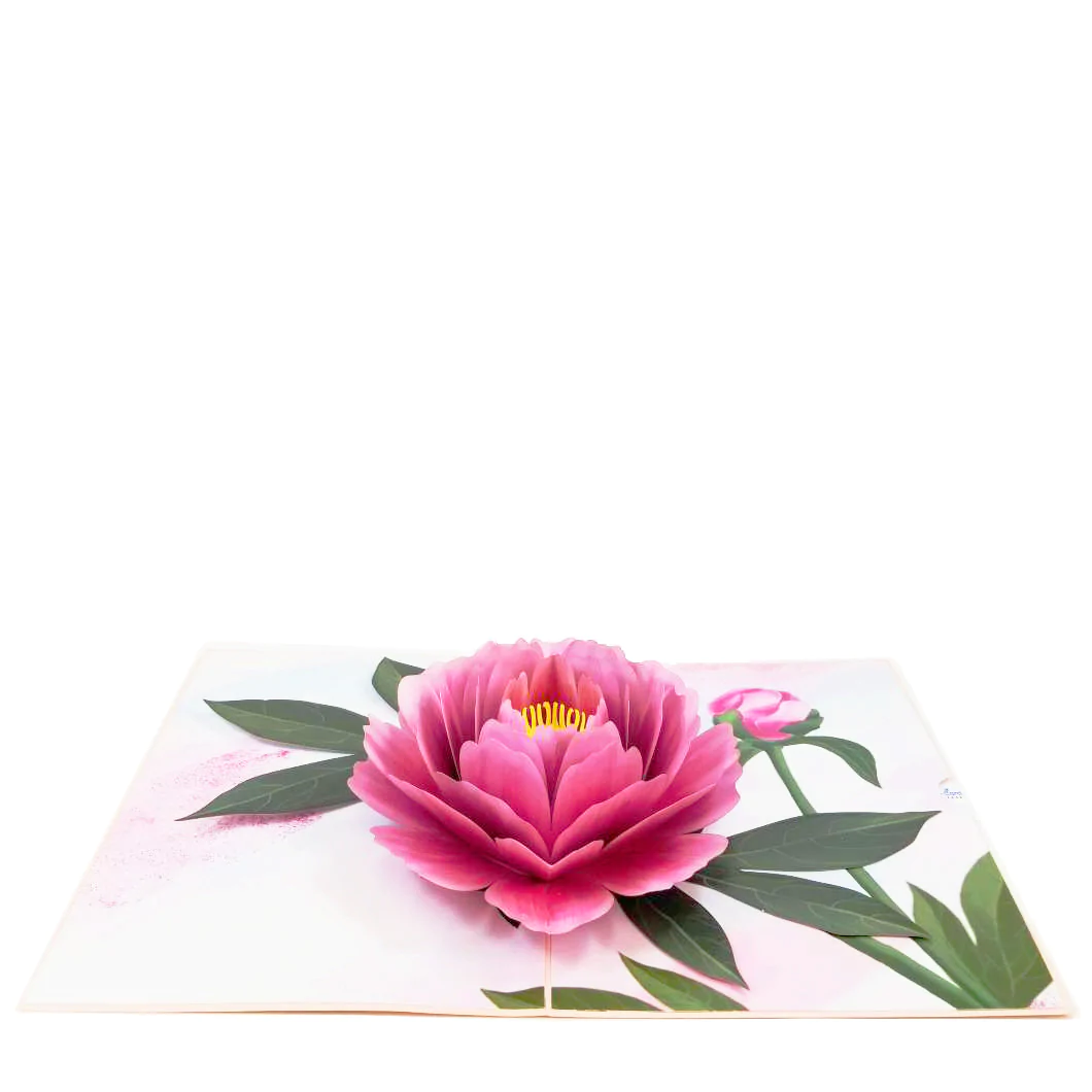 Pop Up Greeting Cards