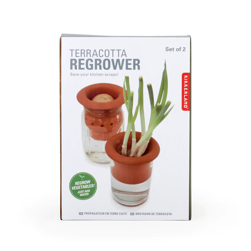Kikkerland Terra Cotta Veggie Scrap Regrower