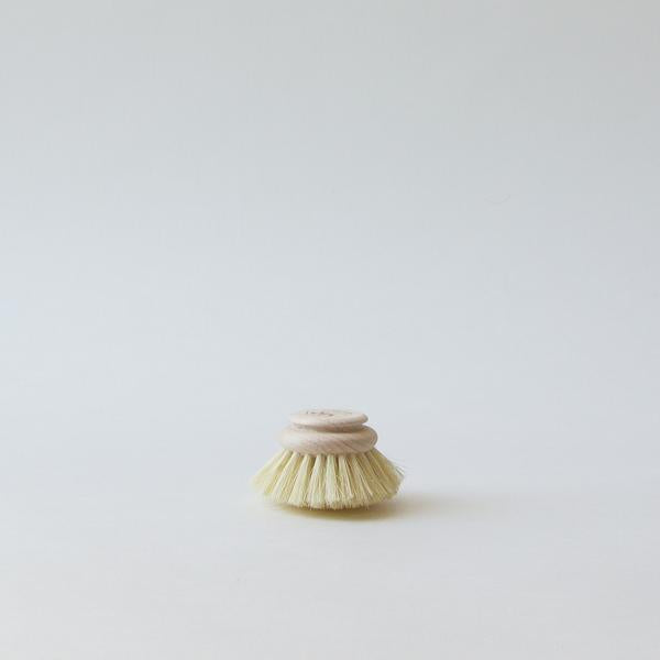 replaceable head