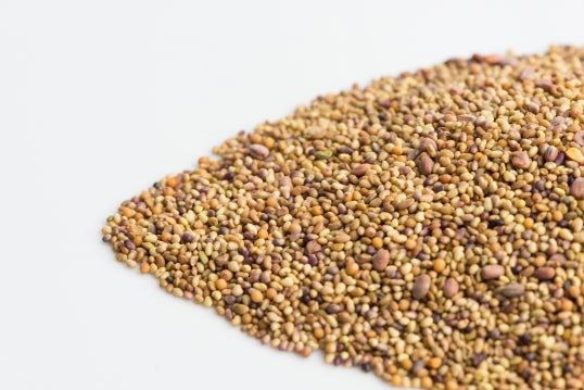 Mumm's Sprouting Seeds