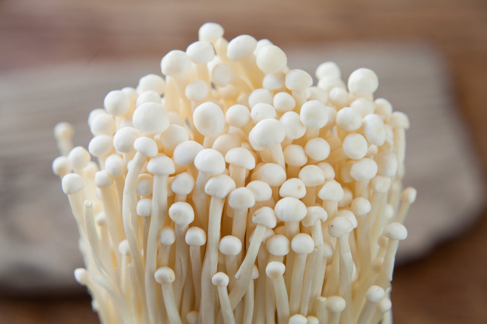Mushroom Growing Kits from Windy Heights
