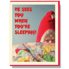 Holiday Greeting Cards by Smitten Kitten