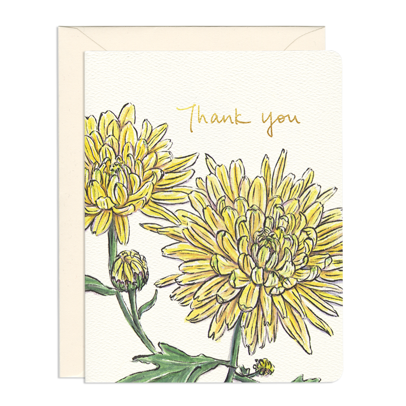 Gotamago - Thank You and Encouragement Greeting Cards