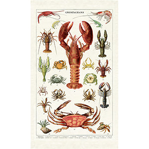 Cavallini & Co. Vintage Tea Towels