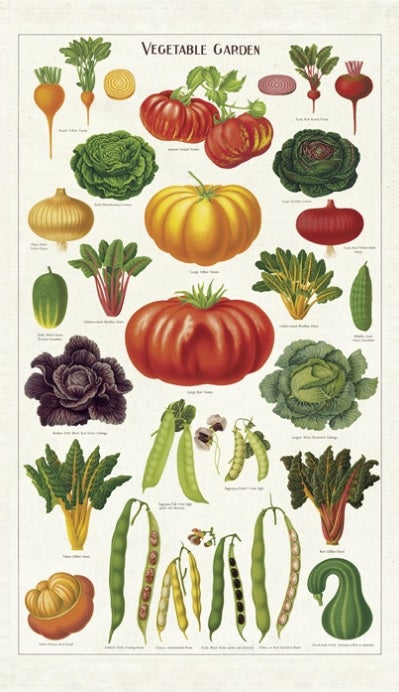 Cavallini & Co. Vintage Tea Towels