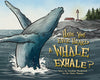 Have You Ever Heard a Whale Exhale? - Claire Watson