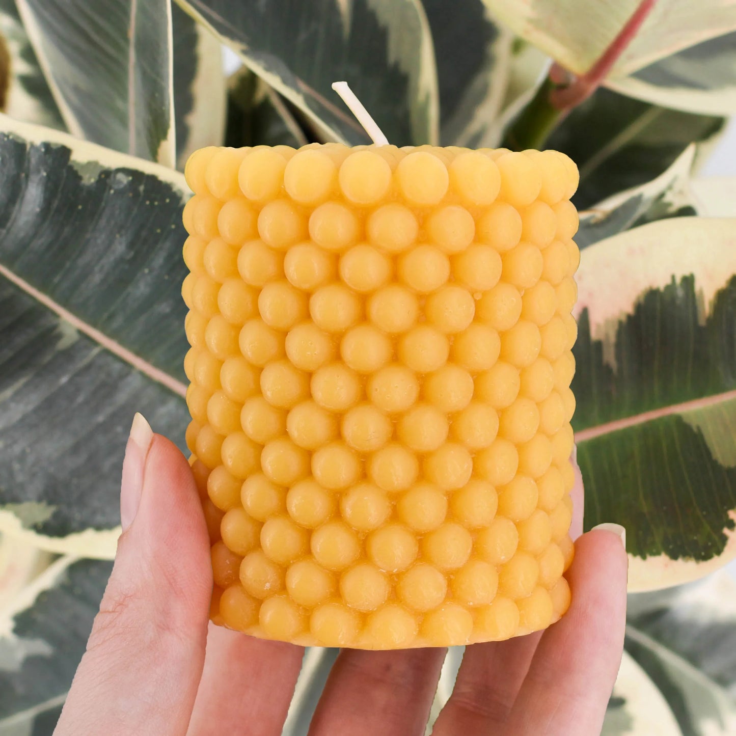 Honey Candles - Beaded Pillar Candle