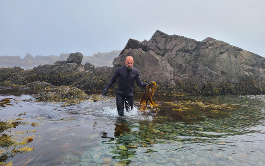 7 Fathoms Thalasso Restore - Seaweed Skin Barrier Cream