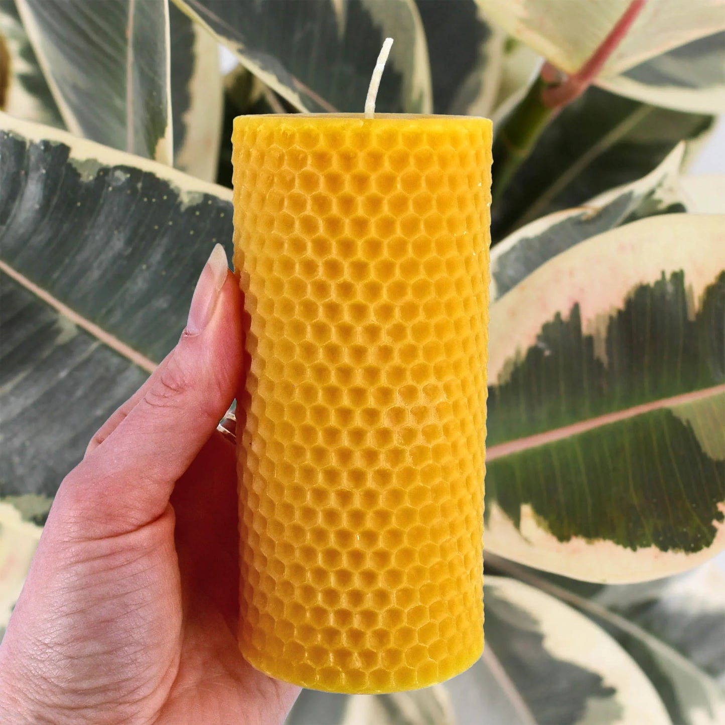 Honey Candles - Honeycomb Pillar Candle