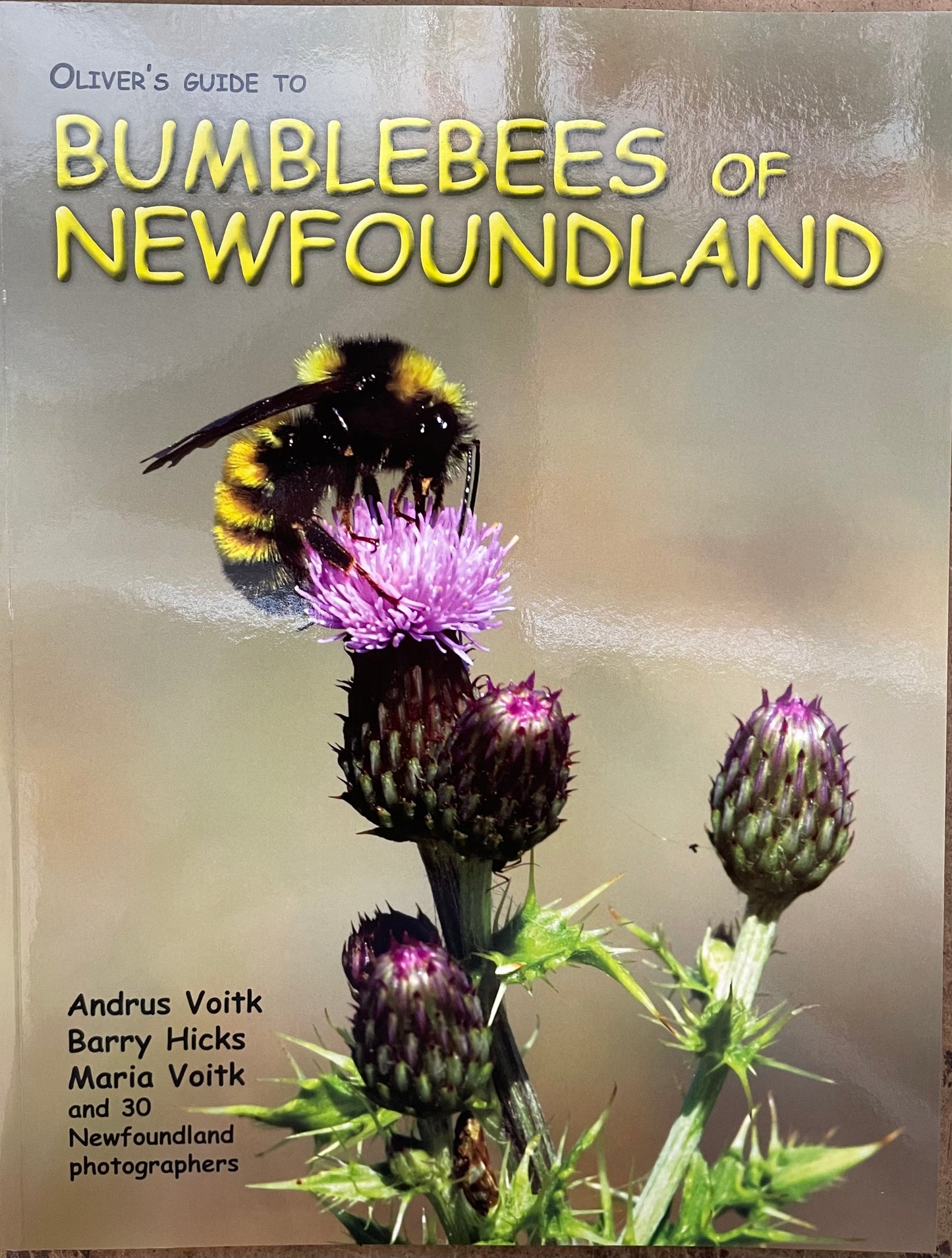 Bumblebees of Newfoundland by Andrus & Maria Voitk and Barry Hicks