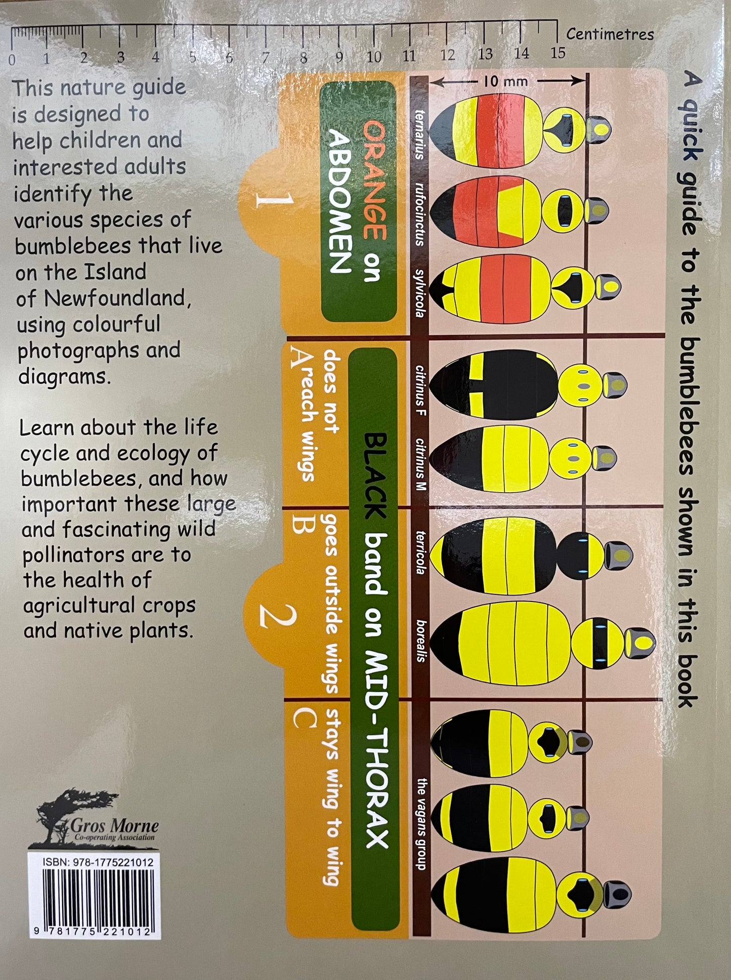 Bumblebees of Newfoundland by Andrus & Maria Voitk and Barry Hicks