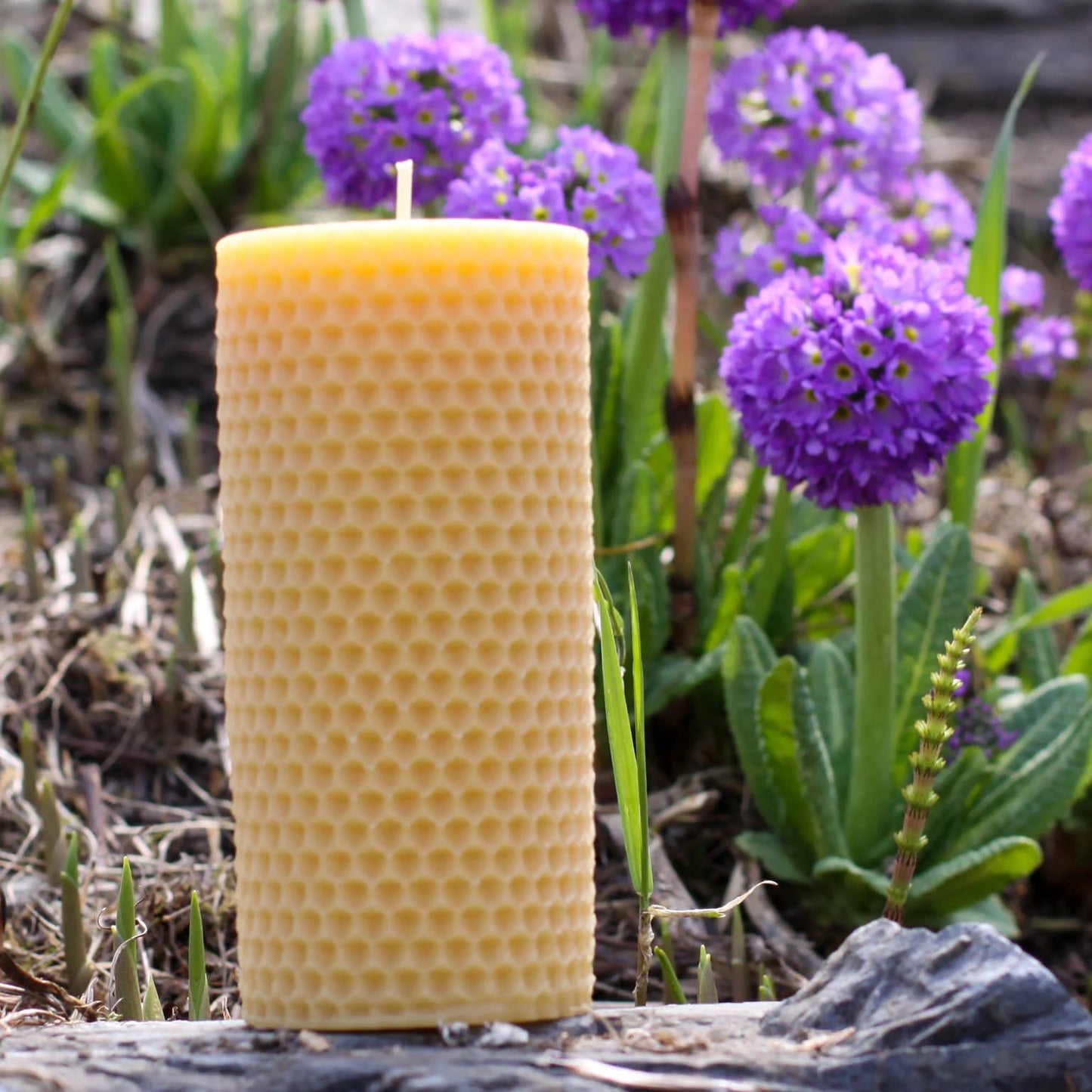 Honey Candles - Honeycomb Pillar Candle