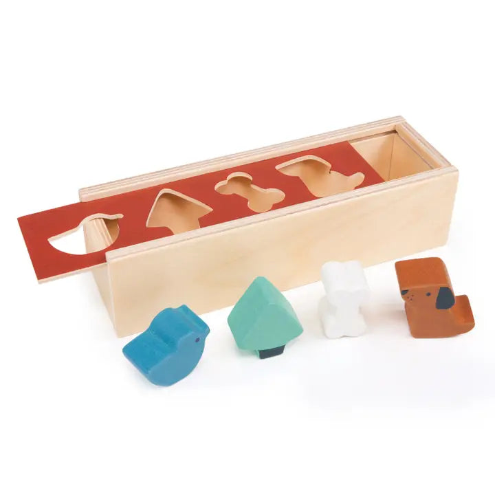Mentari Toys - Pet Shape Sorting Box