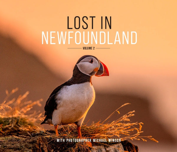 Lost in Newfoundland: Volume 2 - Michael Winsor