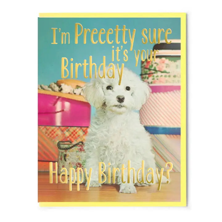 Smitten Kitten Birthday Cards