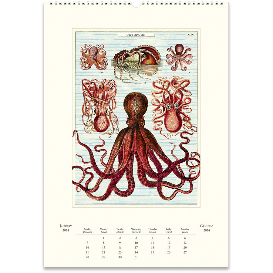 Cavallini & Co. 2024 Wall Calendars