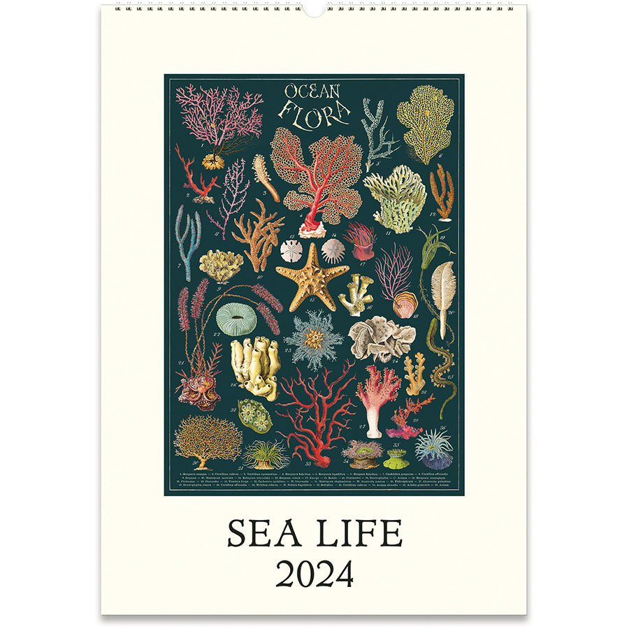 Cavallini & Co. 2024 Wall Calendars