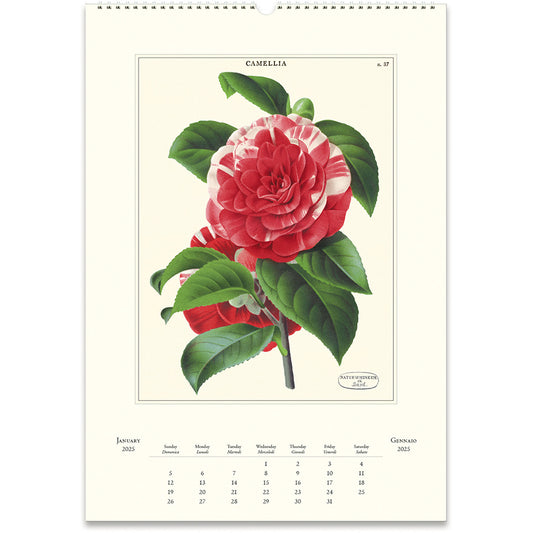 Cavallini & Co. 2025 Wall Calendars