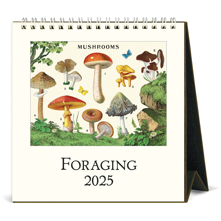 Cavallini & Co. 2025 Desk Calendars