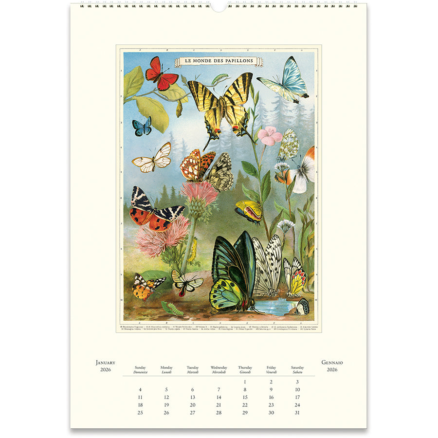 Cavallini & Co. 2026 Wall Calendars