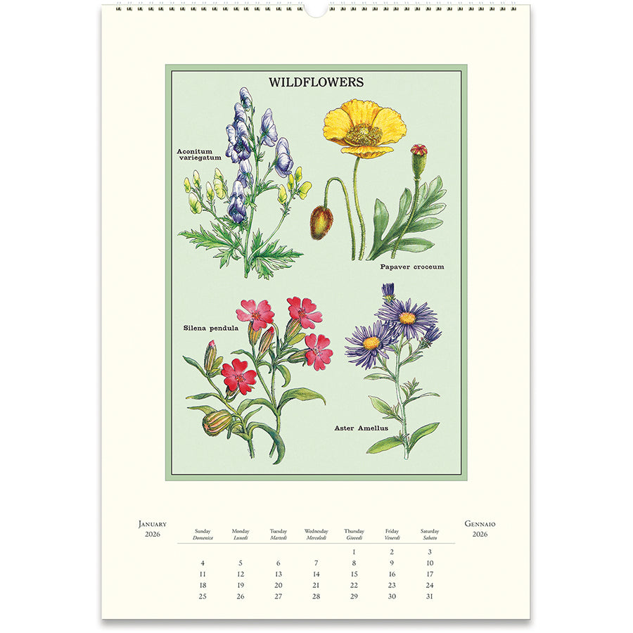 Cavallini & Co. 2026 Wall Calendars