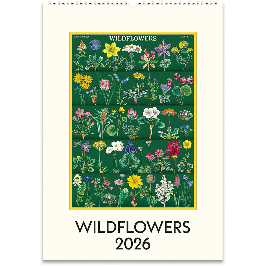 Cavallini & Co. 2026 Wall Calendars