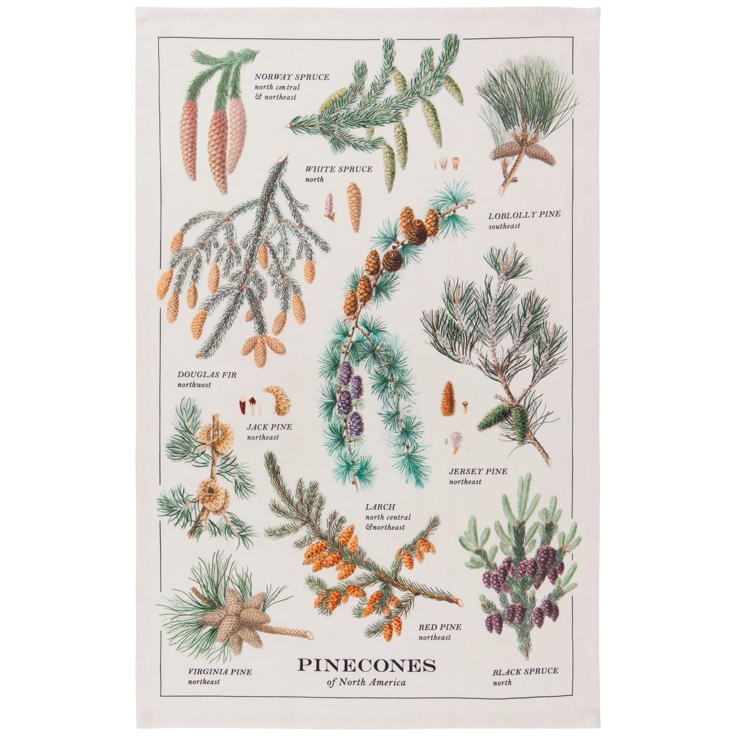Danica Printed Cotton Dishtowel