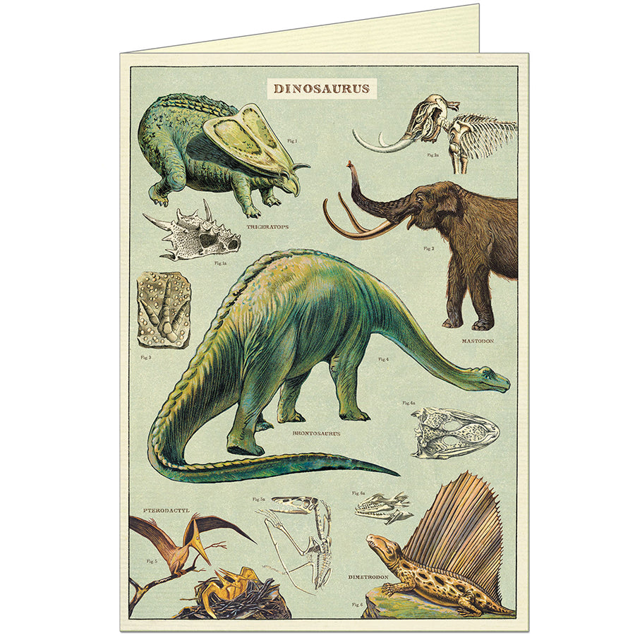 Cavallini & Co. Birthday Greeting Cards