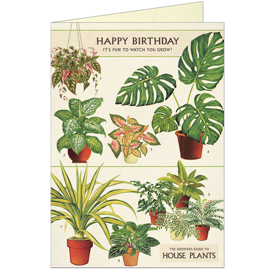 Cavallini & Co. Birthday Greeting Cards