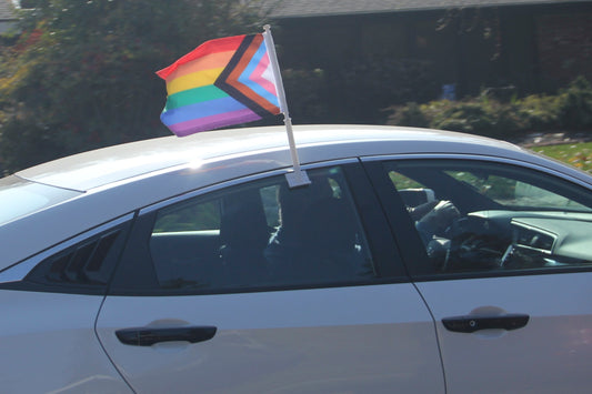 Progress Pride Waving Flags