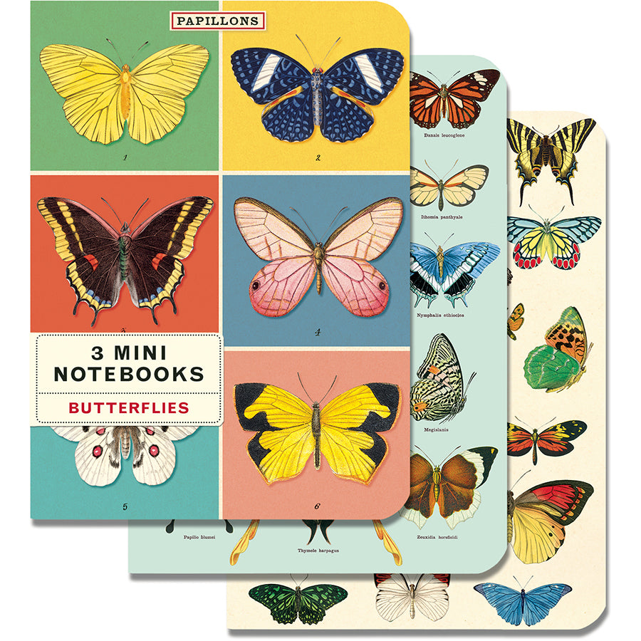 Cavallini & Co. Mini Notebooks (Set of 3)