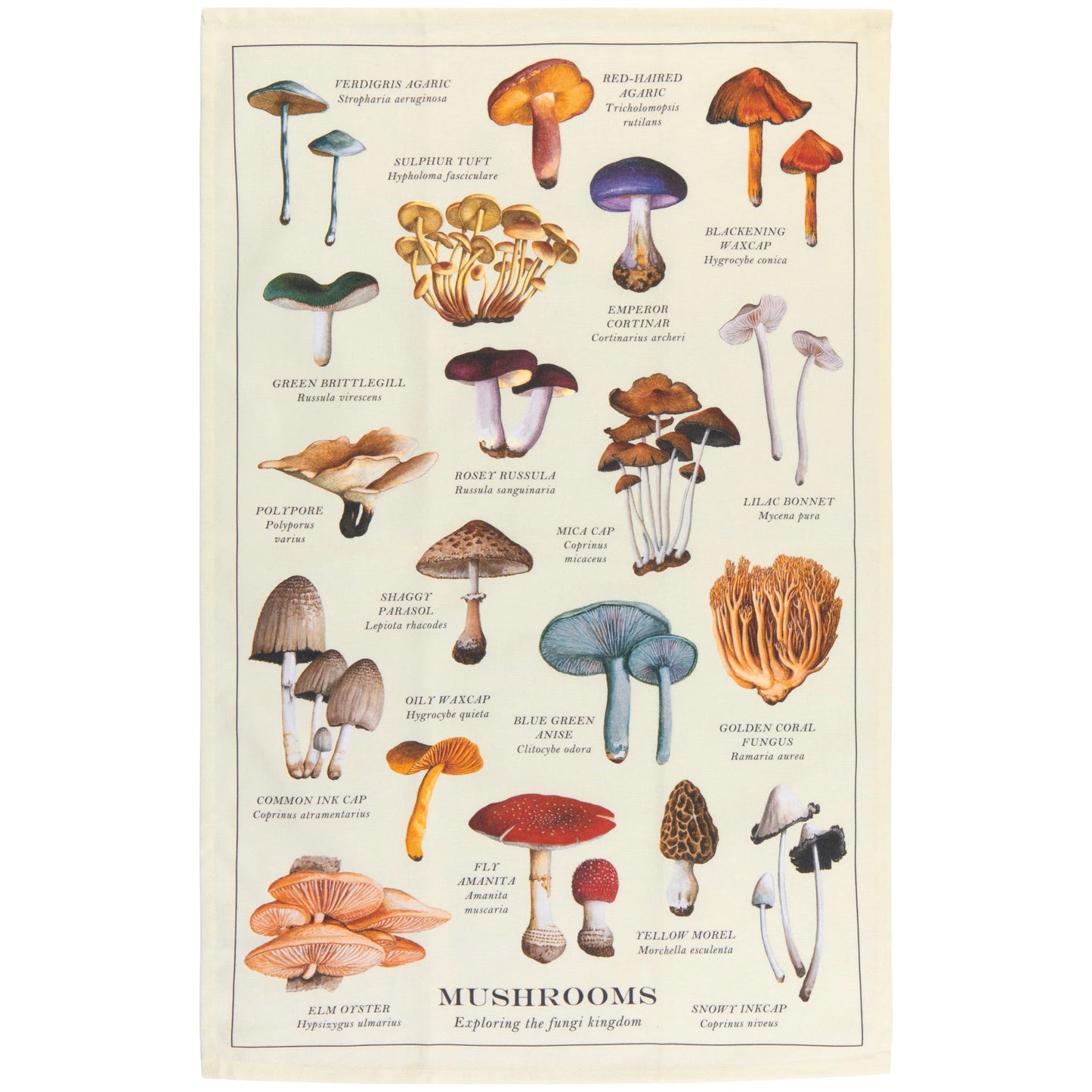 Danica Printed Cotton Dishtowel