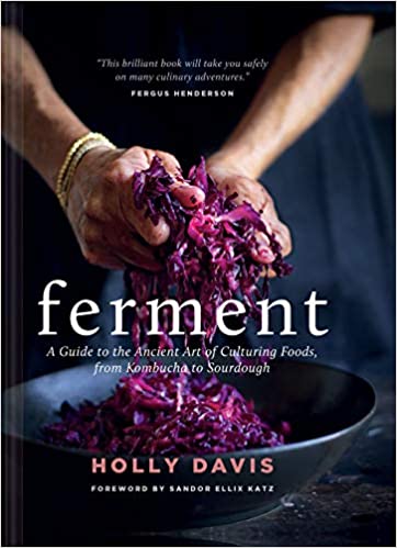 Ferment: A Guide to the Ancient Art of Culturing Foods from Kombucha to Sourdough by Holly Davis