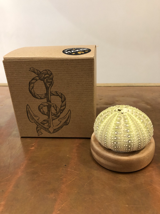 *LIMITED EDITION* Green Urchin Lamps