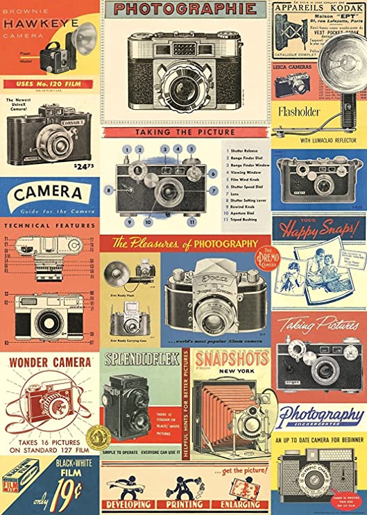 Cavallini & Co. Vintage Posters