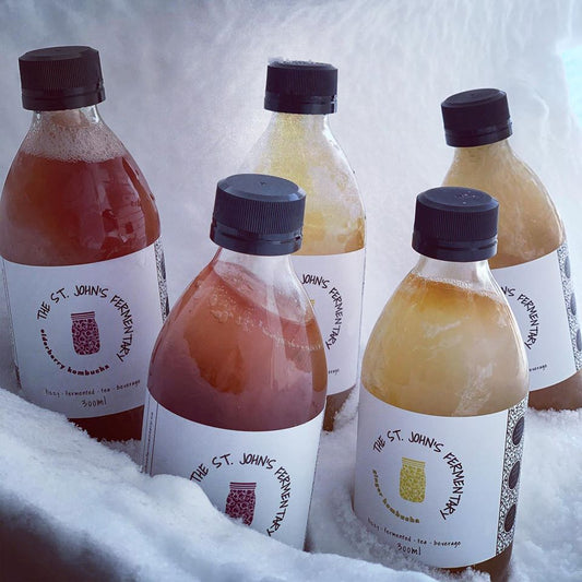 Newfoundland Fermentary Kombucha (300ml)