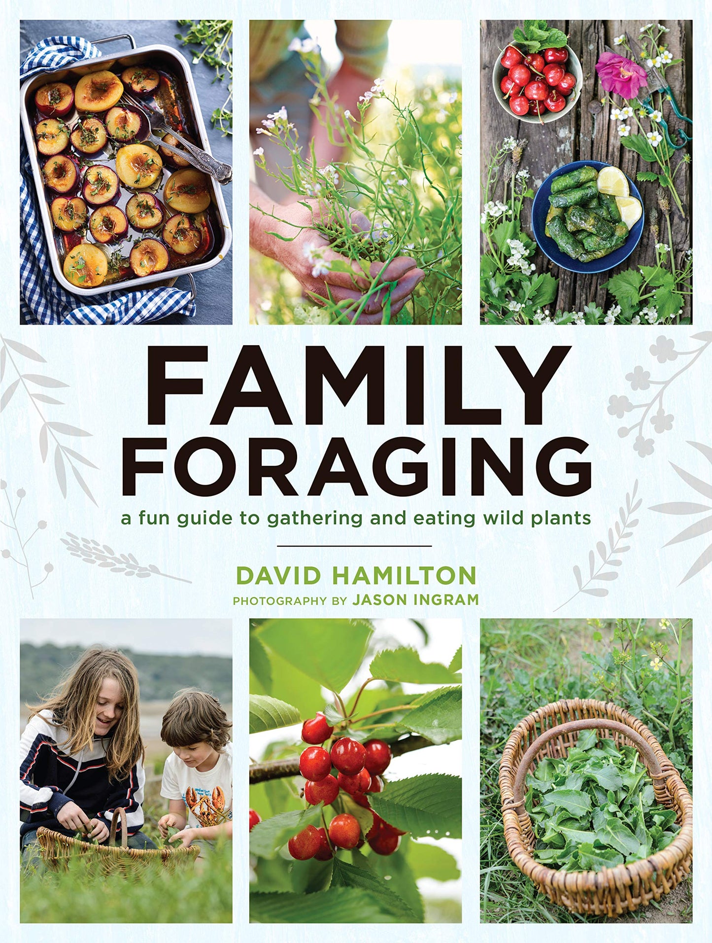 Family Foraging by David Hamilton