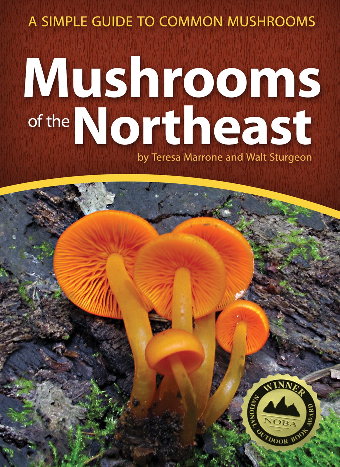 Mushrooms of the Northeast by Teresa Marrone & Walt Sturgeon