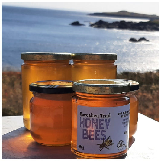 Baccalieu Trail Honey Bees Honey