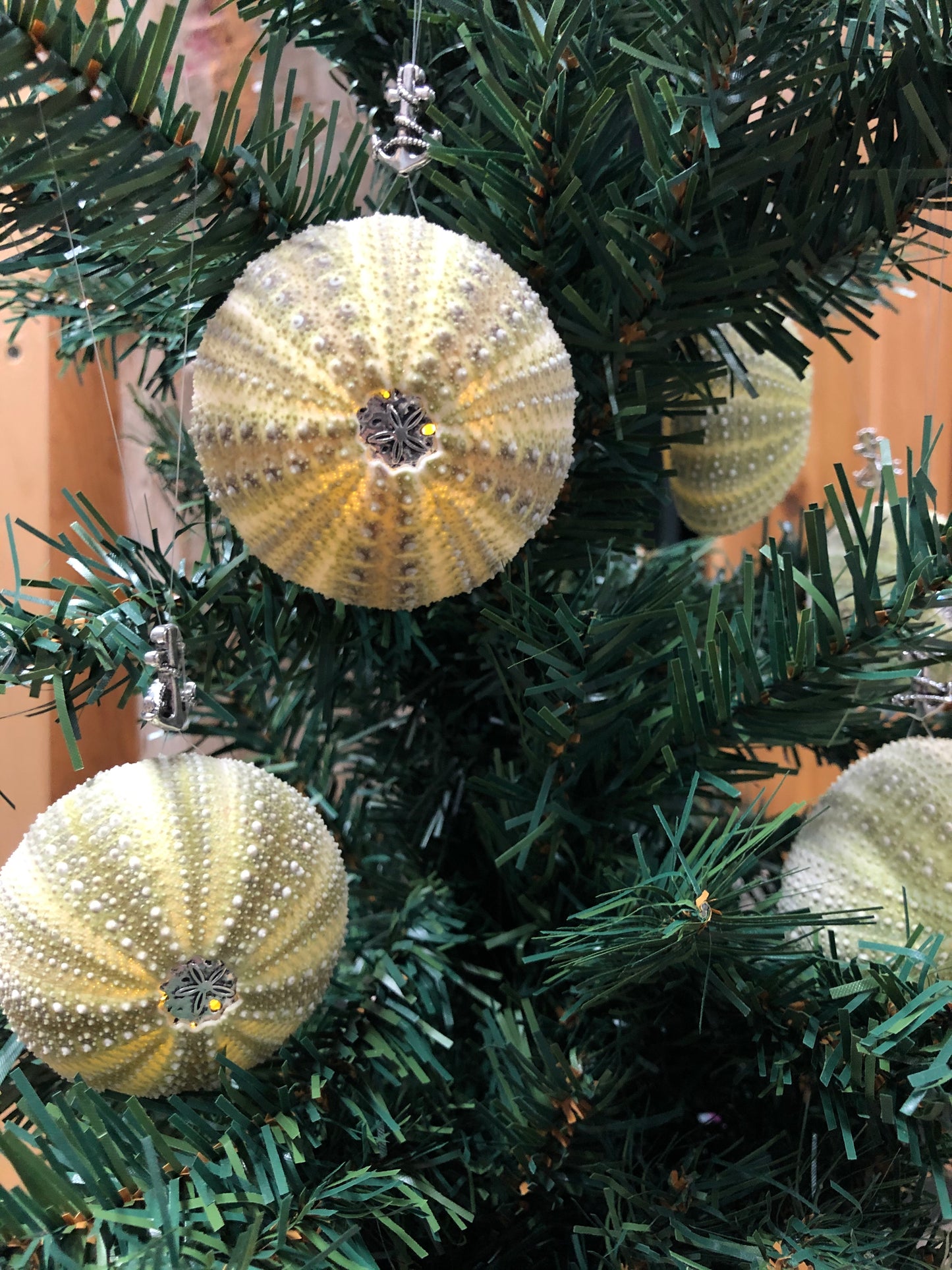 *LIMITED EDITION* Green Urchin Light Up Tree Ornaments