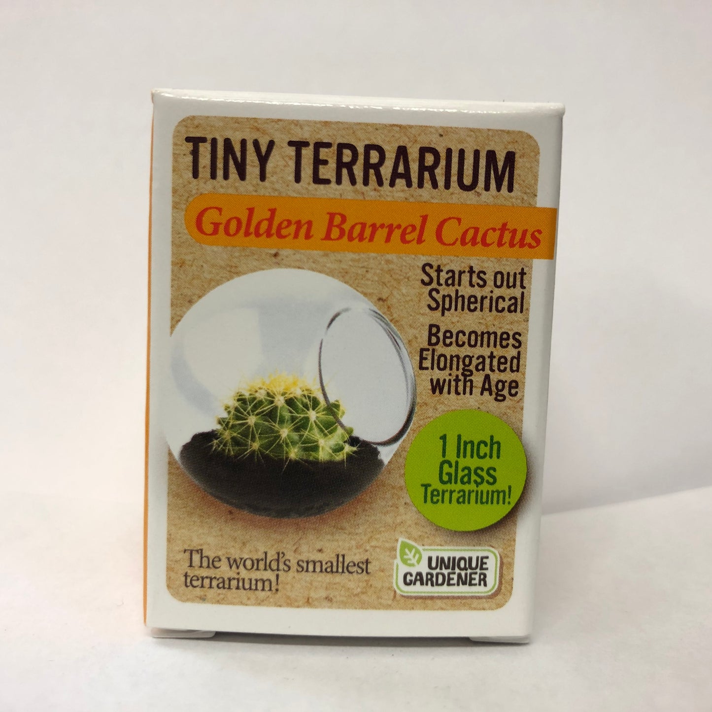 Tiny Terrarium Assorted Cactus or Sedums