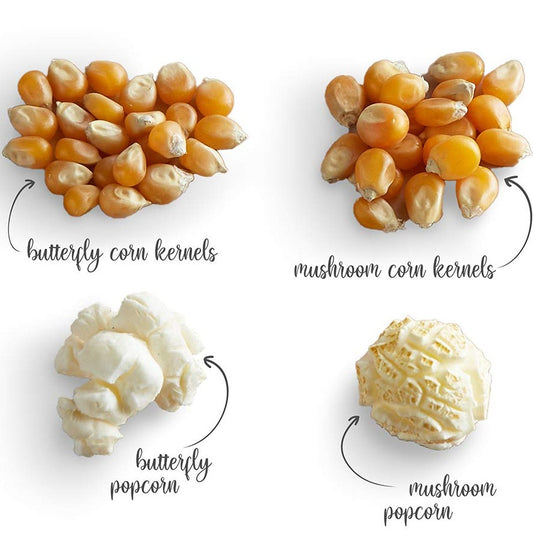 Gourmet Mushroom Popping Kernels