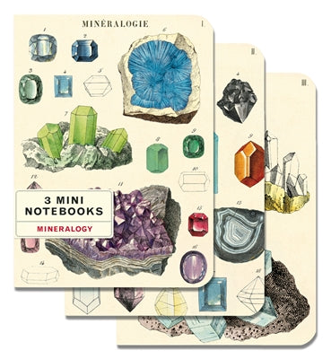 Cavallini & Co. Mini Notebooks (Set of 3)